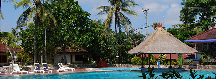 11．会社の将来ビジョンに、「東南アジア」の検討は今や当たり前ですよ